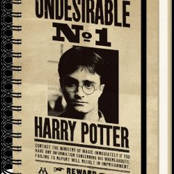 HARRY POTTER SIRIUS & HARRY NOTEBOOK A5