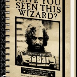 HARRY POTTER SIRIUS & HARRY NOTEBOOK A5